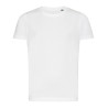 Arctic White